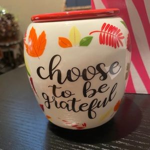 NEW Pink Zebra - Simmer Pot